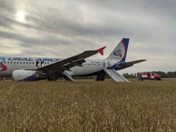 🎬 Пассажиров экстренно севшего на пшеничное поле Airbus A320 отвезли в ближайшее село…