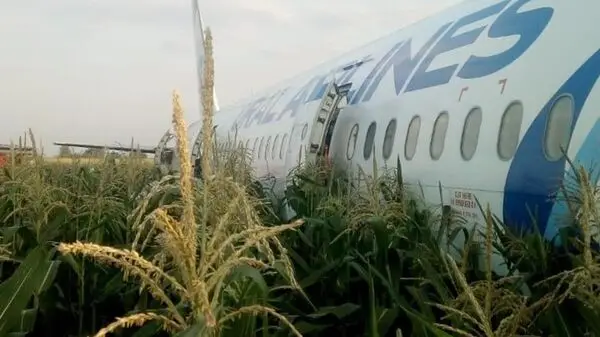 ↩️🖼 Пассажиры эвакуировались из самолёта, который экстренно сел в поле под Новос…