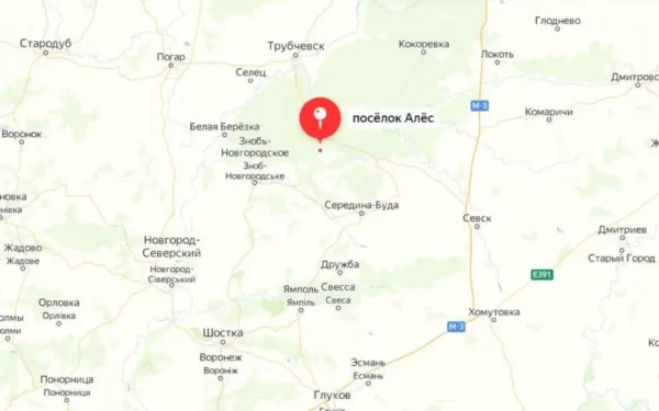 ВСУ обстреляли из танка 5 снарядами село Случовск Погарского района Брянской обла…