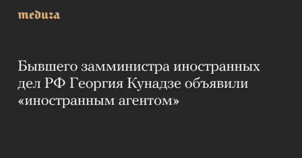 🖼 Бывший замминистра иностранных дел России и дипломат Георгий Кунадзе признан …