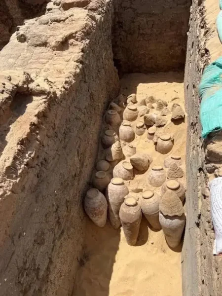 🖼 Сотни уцелевших кувшинов с вином 5-тысячелетней выдержки нашли археологи при р…