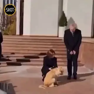 🎬 Пёс молдавского президента Майи Санду вгрызся в руку главе Австрии Александра …