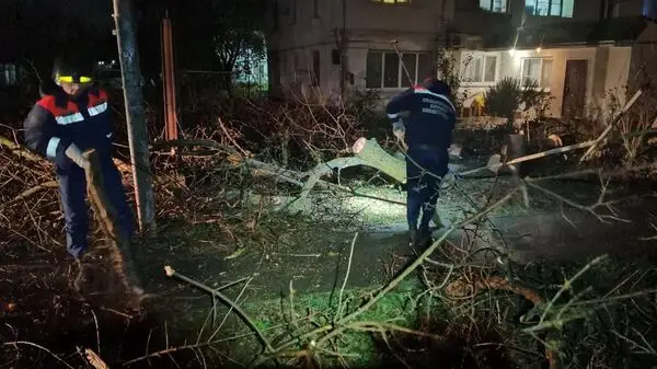 🎬🖼 🌪️Почти полмиллиона жителей Крыма остались без света из-за шторма. Наиболее…