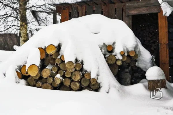 🪵 Прокуратура проверит рост цен на дрова в России. Генпрокурор Краснов заинтерес…
