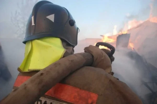 🎬 Камчатский спасатель более 20 минут откачивал собаку, которую вынесли из горяще…