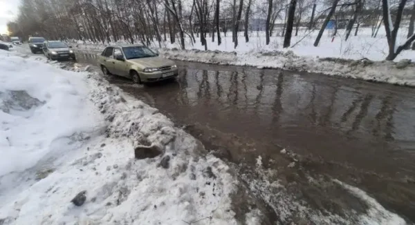 🎬 🤣Коммунальщики в Петербурге закатали люк канализации в асфальт. Инцидент про…