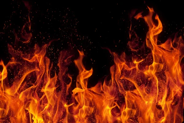 🎬 Ещё один пожар произошёл в Шушарах. Полыхает ангар недалеко от сгоревшего скла…