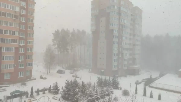 🎬 Сильнейшая снежная буря накрыла Москву и Подмосковье. К утру выпадет ещё 12 см с…