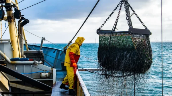 🎬 🎣🤡Госдума запретила британцам ловить рыбу в Баренцевом море. Депутаты приня…