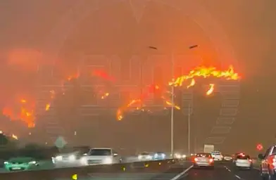 🎬 Минимум 19 человек погибли из-за мощных лесных пожаров в Чили. Сгорели уже сотни …