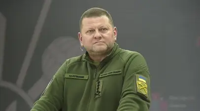 🖼 Украинский депутат Гончаренко заявил об отставке главкома ВСУ Залужного. Зеле…